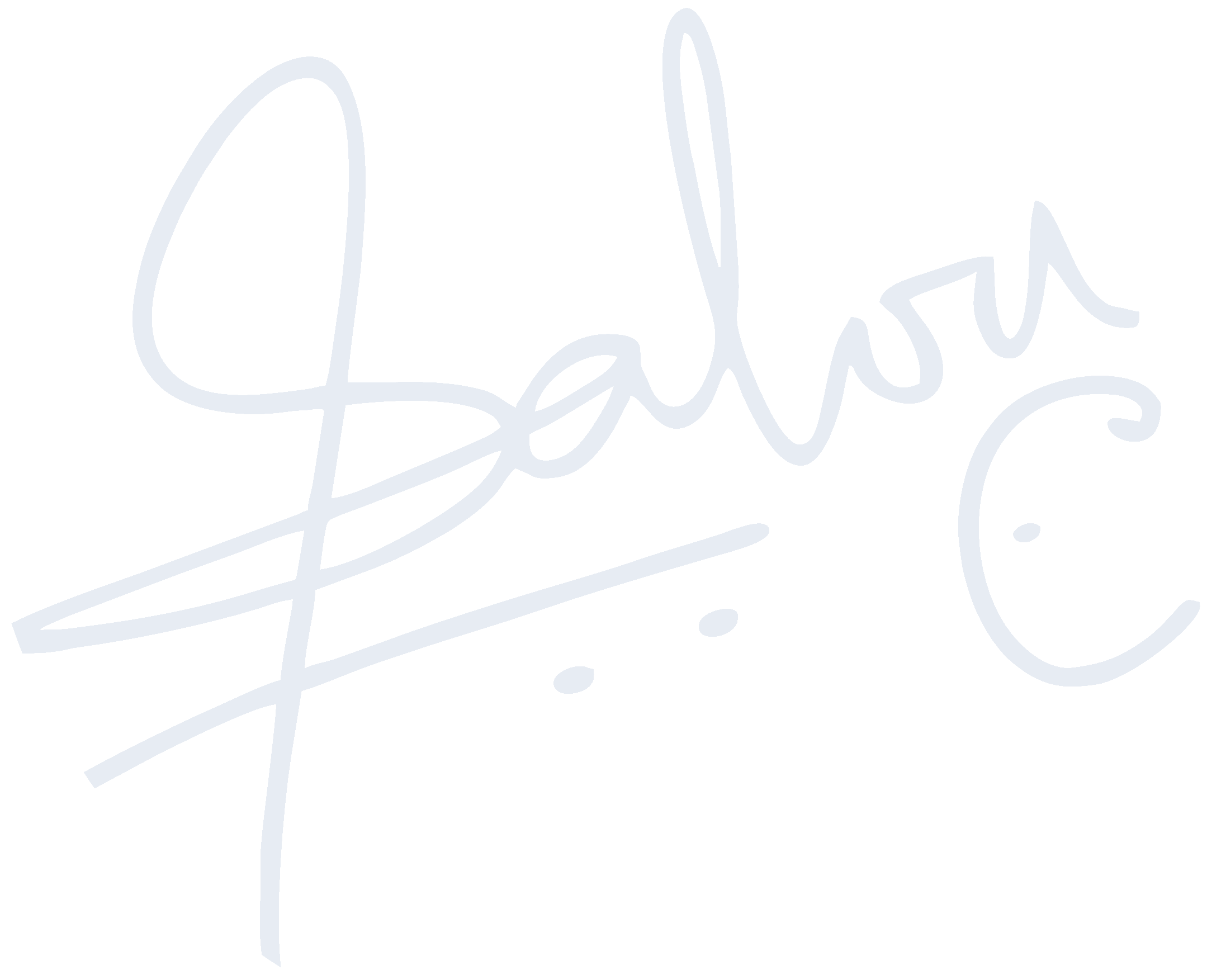 Salvy VentureCorp - LitePay Partner